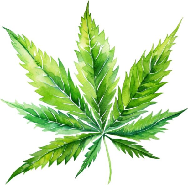Heat transfers Iron on stickers Weeds 420 Cannabis happy plant 331 for Tshirts Iron on Decal Patches Stickers Clothes Hat Pillows DIY Crafts