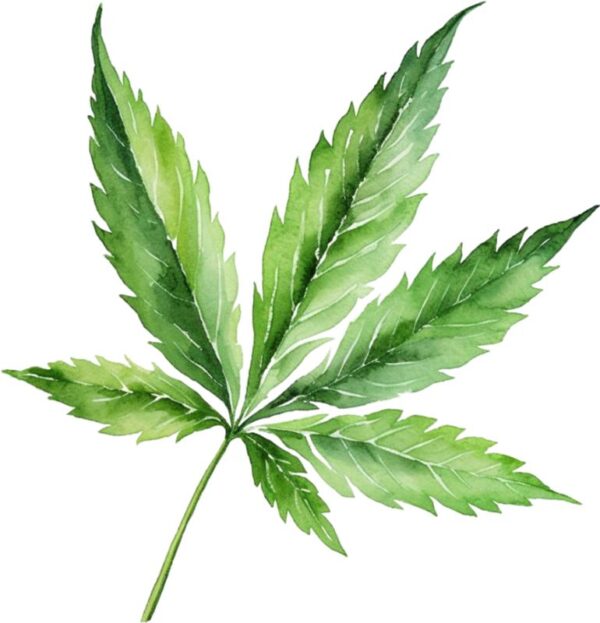 Heat transfers Iron on stickers Weeds 420 Cannabis happy plant 335 for Tshirts Iron on Decal Patches Stickers Clothes Hat Pillows DIY Crafts