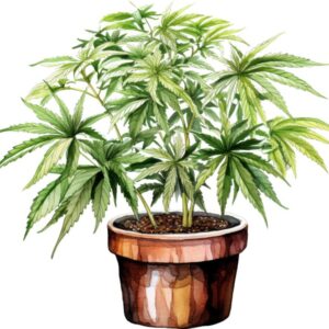 Heat transfers Iron on stickers Weeds 420 Cannabis happy plant 42 for Tshirts Iron on Decal Patches Stickers Clothes Hat Pillows DIY Crafts