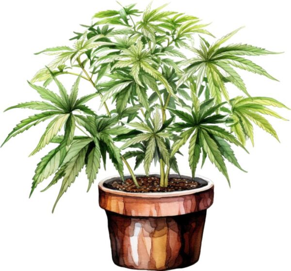 Heat transfers Iron on stickers Weeds 420 Cannabis happy plant 42 for Tshirts Iron on Decal Patches Stickers Clothes Hat Pillows DIY Crafts