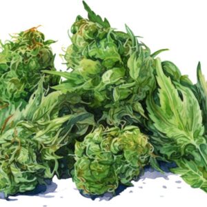 Heat transfers Iron on stickers Weeds 420 Cannabis happy plant 434 for Tshirts Iron on Decal Patches Stickers Clothes Hat Pillows DIY Crafts