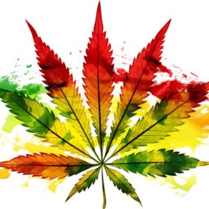 Heat transfers Iron on stickers Weeds 420 Cannabis happy plant 441 for Tshirts Iron on Decal Patches Stickers Clothes Hat Pillows DIY Crafts