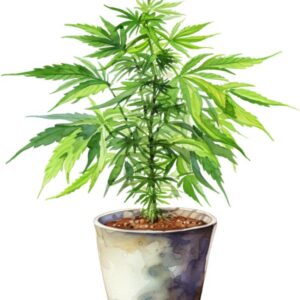 Heat transfers Iron on stickers Weeds 420 Cannabis happy plant 445 for Tshirts Iron on Decal Patches Stickers Clothes Hat Pillows DIY Crafts