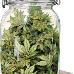 Heat transfers Iron on stickers Weeds 420 Cannabis happy plant 485 for Tshirts Iron on Decal Patches Stickers Clothes Hat Pillows DIY Crafts