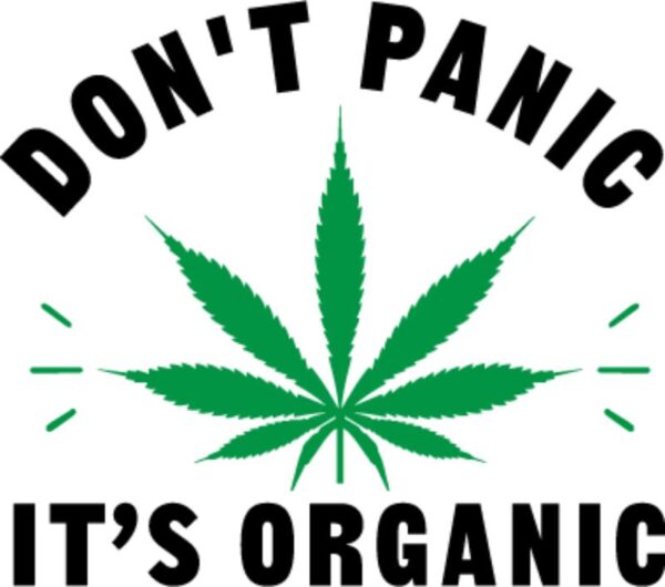 Heat transfers Iron on stickers Weeds 420 Cannabis happy plant 553 for Tshirts Iron on Decal Patches Stickers Clothes Hat Pillows DIY Crafts