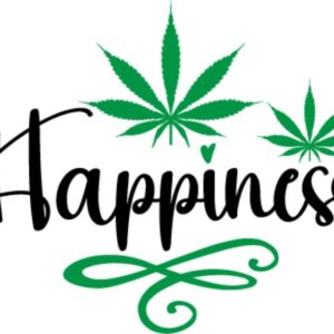 Heat transfers Iron on stickers Weeds 420 Cannabis happy plant 557 for Tshirts Iron on Decal Patches Stickers Clothes Hat Pillows DIY Crafts
