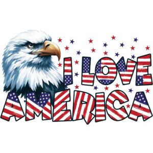 Heat transfers Iron on stickers  army 113 for Tshirts Iron on Decal Patches Stickers Clothes Hat Pillows DIY Crafts
