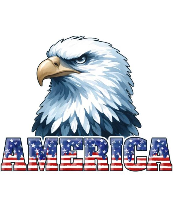 Heat transfers Iron on stickers  army 114 for Tshirts Iron on Decal Patches Stickers Clothes Hat Pillows DIY Crafts