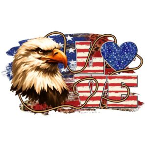 Heat transfers Iron on stickers  army 116 for Tshirts Iron on Decal Patches Stickers Clothes Hat Pillows DIY Crafts