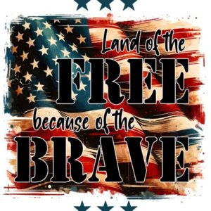 Heat transfers Iron on stickers  army 231 for Tshirts Iron on Decal Patches Stickers Clothes Hat Pillows DIY Crafts