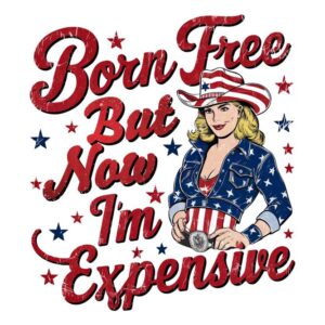 Heat transfers Iron on stickers  army 327 for Tshirts Iron on Decal Patches Stickers Clothes Hat Pillows DIY Crafts