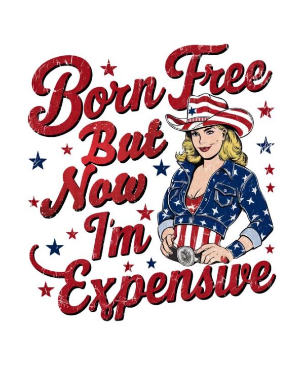 Heat transfers Iron on stickers  army 327 for Tshirts Iron on Decal Patches Stickers Clothes Hat Pillows DIY Crafts