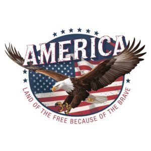 Heat transfers Iron on stickers  army 333 for Tshirts Iron on Decal Patches Stickers Clothes Hat Pillows DIY Crafts