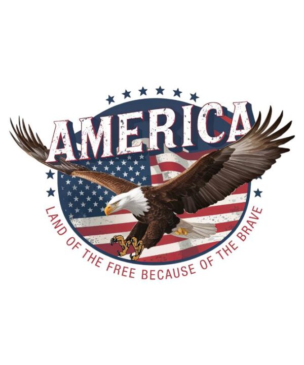 Heat transfers Iron on stickers  army 333 for Tshirts Iron on Decal Patches Stickers Clothes Hat Pillows DIY Crafts