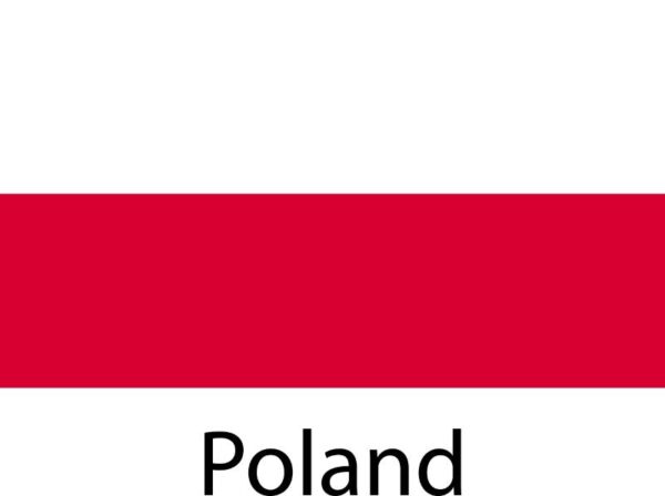 Heat transfers Iron on stickers  country 195 for Tshirts Iron on Decal Patches Stickers Clothes Hat Pillows DIY Crafts