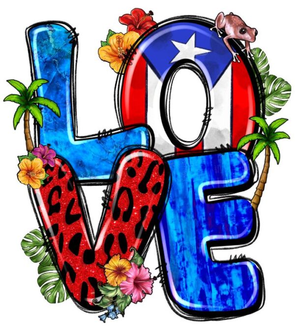 Heat transfers Iron on stickers  country 2 for Tshirts Iron on Decal Patches Stickers Clothes Hat Pillows DIY Crafts