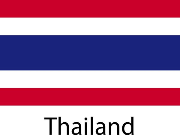 Heat transfers Iron on stickers  country 245 for Tshirts Iron on Decal Patches Stickers Clothes Hat Pillows DIY Crafts