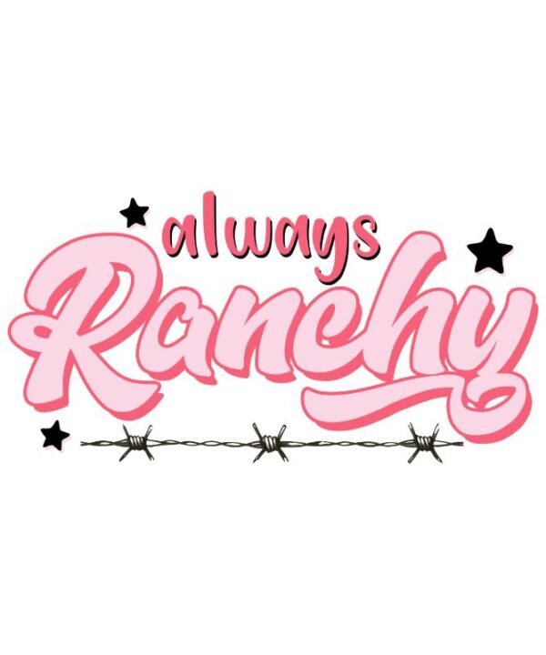 Heat transfers Iron on stickers  cowgirl 149 for Tshirts Iron on Decal Patches Stickers Clothes Hat Pillows DIY Crafts