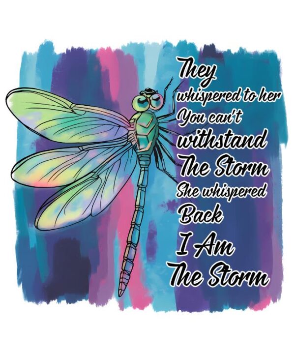 Heat transfers Iron on stickers  dragonfly with saying word 20 for Tshirts Iron on Decal Patches Stickers Clothes Hat Pillows DIY Crafts