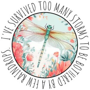 Heat transfers Iron on stickers  dragonfly with saying word 5 for Tshirts Iron on Decal Patches Stickers Clothes Hat Pillows DIY Crafts
