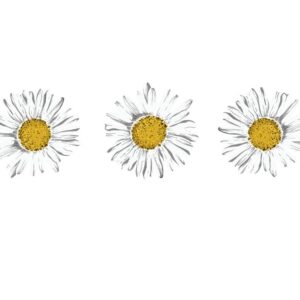 Heat transfers Iron on stickers  flower 325 for Tshirts Iron on Decal Patches Stickers Clothes Hat Pillows DIY Crafts