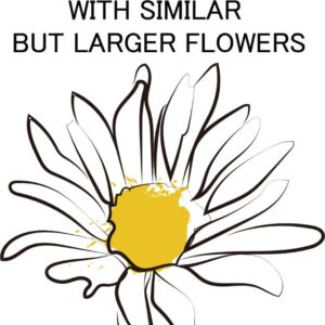Heat transfers Iron on stickers  flower 330 for Tshirts Iron on Decal Patches Stickers Clothes Hat Pillows DIY Crafts