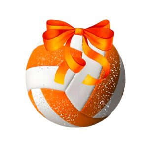 Heat transfers Iron on stickers  football baseball soccor basketball ball 173 for Tshirts Iron on Decal Patches Stickers Clothes Hat Pillows DIY Crafts