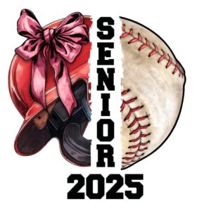 Heat transfers Iron on stickers  football baseball soccor basketball ball 249 for Tshirts Iron on Decal Patches Stickers Clothes Hat Pillows DIY Crafts