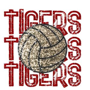 Heat transfers Iron on stickers  football baseball soccor basketball ball 362 for Tshirts Iron on Decal Patches Stickers Clothes Hat Pillows DIY Crafts
