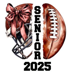 Heat transfers Iron on stickers  football baseball soccor basketball ball 391 for Tshirts Iron on Decal Patches Stickers Clothes Hat Pillows DIY Crafts