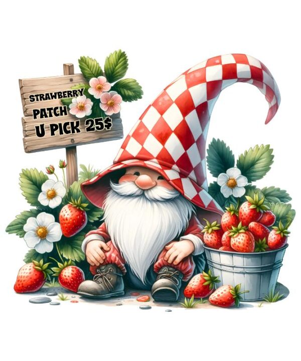 Heat transfers Iron on stickers  fruit 40 for Tshirts Iron on Decal Patches Stickers Clothes Hat Pillows DIY Crafts
