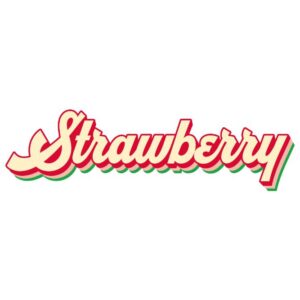 Heat transfers Iron on stickers  fruit 48 for Tshirts Iron on Decal Patches Stickers Clothes Hat Pillows DIY Crafts