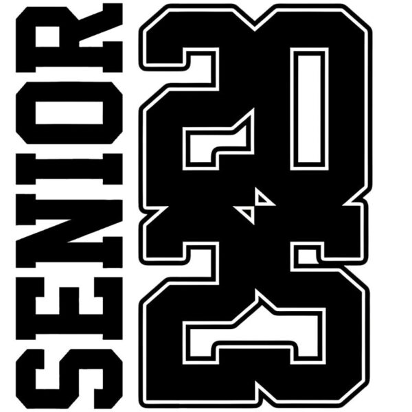 Heat transfers Iron on stickers  gradution 408 for Tshirts Iron on Decal Patches Stickers Clothes Hat Pillows DIY Crafts