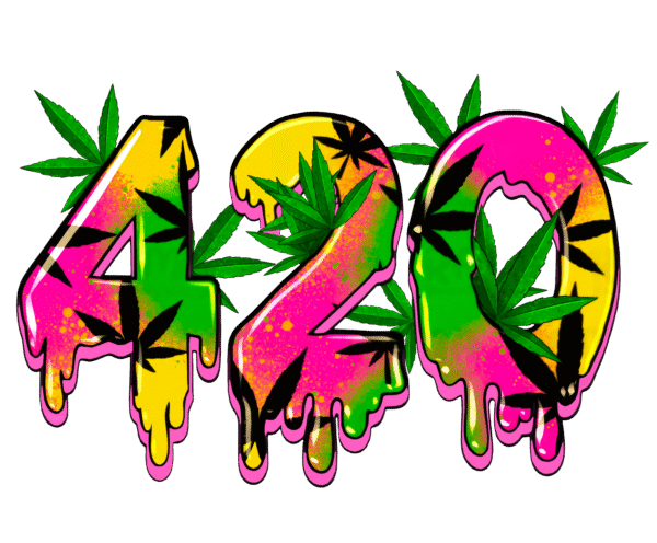 Iron on Transfers Decals Patches Heat Transfers Vinyl Decals for T Shirts Hoodie DIY Crafts Clothes Bag Covers DIY Decorations