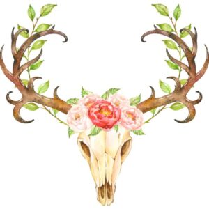 Heat transfers Iron on stickers  highland cow 612 for Tshirts Iron on Decal Patches Stickers Clothes Hat Pillows DIY Crafts
