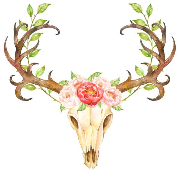 Heat transfers Iron on stickers  highland cow 612 for Tshirts Iron on Decal Patches Stickers Clothes Hat Pillows DIY Crafts