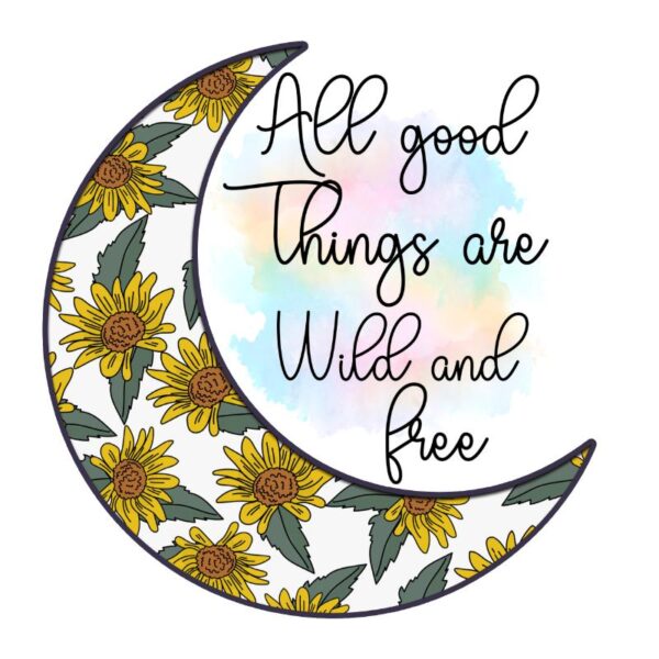 Heat transfers Iron on stickers Inspirational sayings quotes 1874 for Tshirts Iron on Decal Patches Stickers Clothes Hat Pillows DIY Crafts