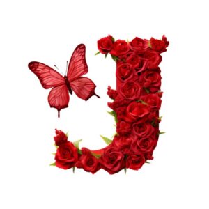 Heat transfers Iron on stickers  red flower letter 10 for Tshirts Iron on Decal Patches Stickers Clothes Hat Pillows DIY Crafts