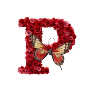 Heat transfers Iron on stickers  red flower letter 16 for Tshirts Iron on Decal Patches Stickers Clothes Hat Pillows DIY Crafts