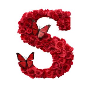Heat transfers Iron on stickers  red flower letter 19 for Tshirts Iron on Decal Patches Stickers Clothes Hat Pillows DIY Crafts