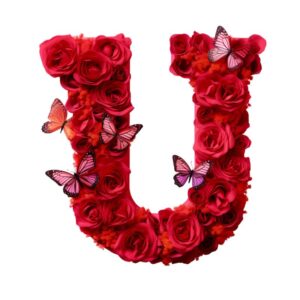 Heat transfers Iron on stickers  red flower letter 21 for Tshirts Iron on Decal Patches Stickers Clothes Hat Pillows DIY Crafts