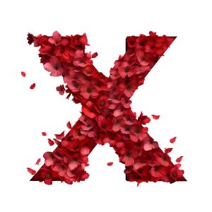 Heat transfers Iron on stickers  red flower letter 24 for Tshirts Iron on Decal Patches Stickers Clothes Hat Pillows DIY Crafts