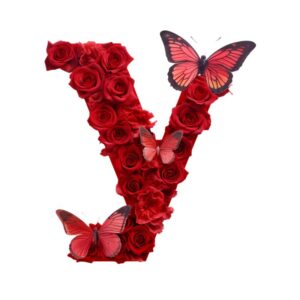 Heat transfers Iron on stickers  red flower letter 25 for Tshirts Iron on Decal Patches Stickers Clothes Hat Pillows DIY Crafts