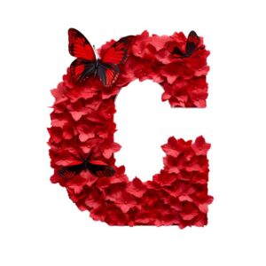 Heat transfers Iron on stickers  red flower letter 3 for Tshirts Iron on Decal Patches Stickers Clothes Hat Pillows DIY Crafts