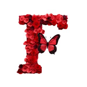 Heat transfers Iron on stickers  red flower letter 6 for Tshirts Iron on Decal Patches Stickers Clothes Hat Pillows DIY Crafts